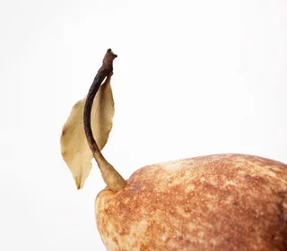 老的，腐烂的，梨，梨，水果，白的，食物，没有人