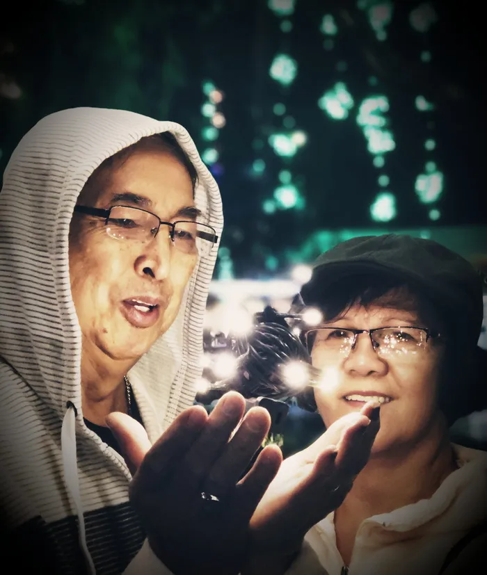 拿着吊灯的女人