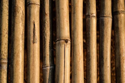 印度，拉瓦萨，清晰，缩放，裂纹，旧，太阳，橙色