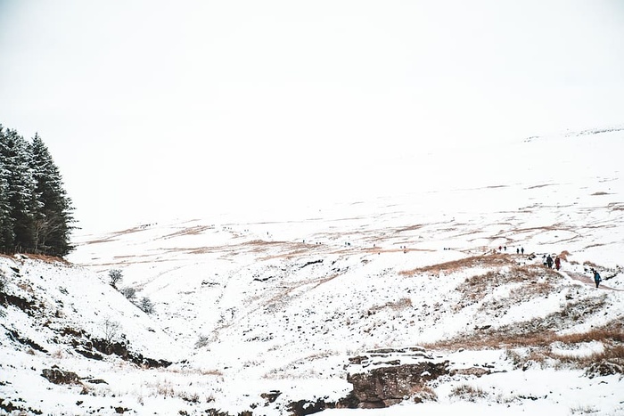白天被雪覆盖的地面