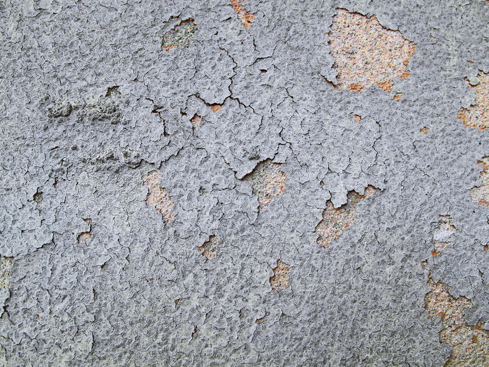 开裂的油漆、柏油路、沥青、地面、混凝土、树叶、植物、纹理