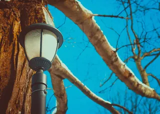 树附近的黑色柱灯