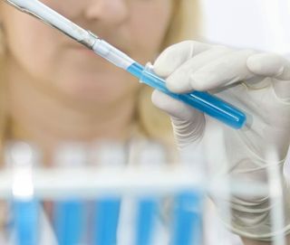 人员，手持，蓝色，白色，瓶子，样品，技术，实验室