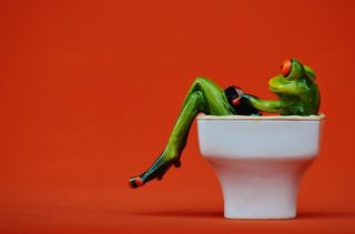 青蛙，椅子，舒适，平板电脑，Pc，电脑，平板电脑，Pc，可爱