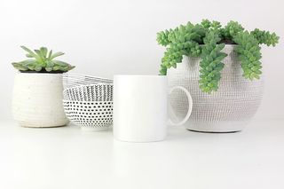 白色表面的白色陶瓷杯