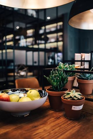 在波兰格但斯克的Puro酒店短暂参观