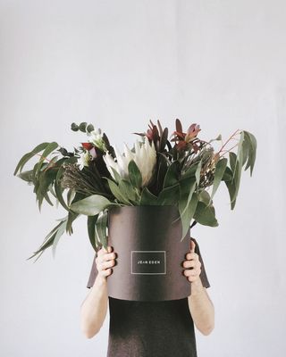 身穿黑色T恤、手持盆花的人