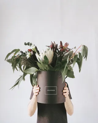 身穿黑色T恤、手持盆花的人