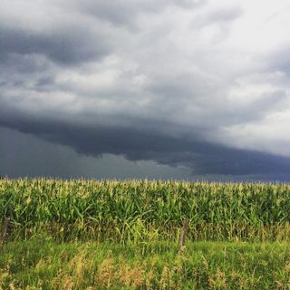 美国，贝茨县，天空，云，风暴，田地，农场，玉米