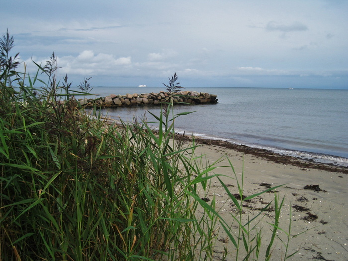 Kattegat，丹麦，Ferry，Horizon，Ferry on the Horizon，防波堤，海滩，marram grass