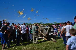 机器，古董脱粒机，玉米粒，人，群，多，玉米，人群
