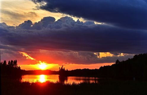 日落，风景，自然，天空，水，云，湖，树