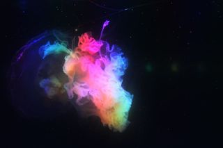 水母，自然，世界，背景，蓝色，抽象，黑色，空间