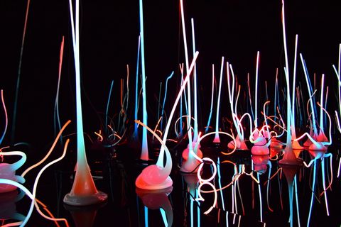 霓虹灯、白色、灯光、反射、粉色、艺术、彩色