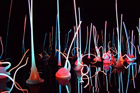 霓虹灯、白色、灯光、反射、粉色、艺术、彩色