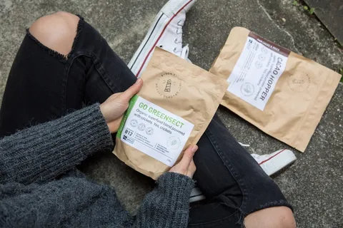 grilo蛋白，食用昆虫，蟋蟀粉，蟋蟀蛋白，虫食，超级食品，昆虫蛋白，食用昆虫