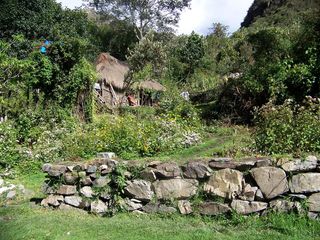 茅屋、茅草屋、丛林、森林、绿树、路障、岩石、树木