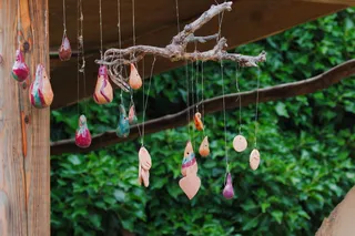 悬挂，木头，花园，植物，树，自然，木头，叶子