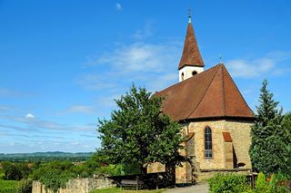 混凝土建筑旁的树木
