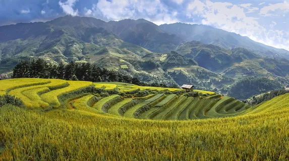 梯田 梯田
