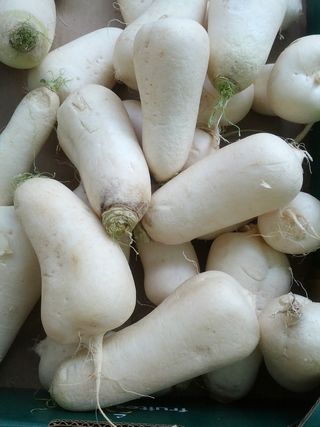 萝卜、蔬菜、白萝卜、食品和饮料、食品、健康饮食、新鲜度、幸福感