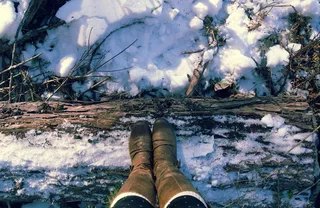 美国，特鲁基，北极星路，树，原木，冬天，雪，靴子