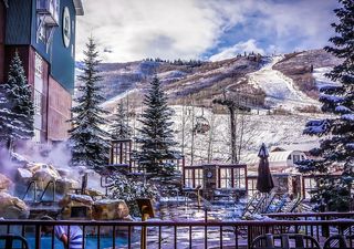 房子附近种上了绿色的松树