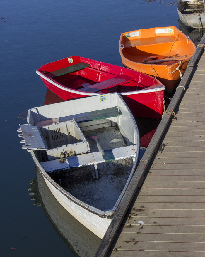 美国罗克波特、马萨诸塞州海港、安角、小犬、钓鱼、划艇