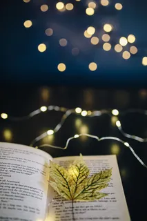 用神灯变魔术 用神灯变魔术