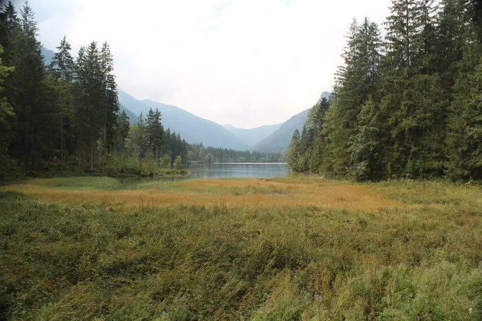 hintersee，berchtesgaden，巴伐利亚州，湖泊，自然，树木，景观，休息