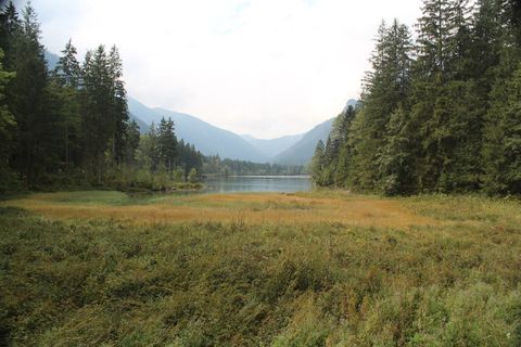 hintersee，berchtesgaden，巴伐利亚州，湖泊，自然，树木，景观，休息