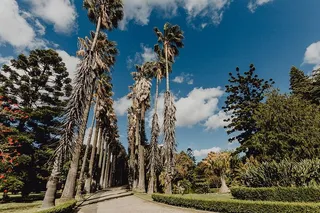 葡萄牙里斯本贝伦热带植物园