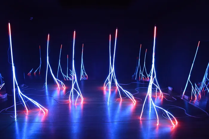 serralves、葡萄牙、波尔图、舞蹈、灯光、蓝色、电力、现代艺术