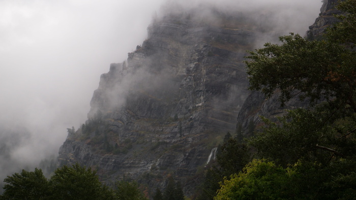 全景，照片山，森林，有盖，雾，白天，棕色，山