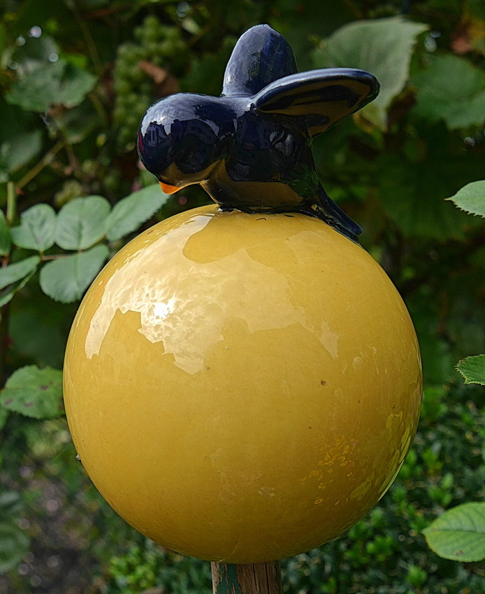 花园地球仪，实心粘土球，花园，聚焦前景，特写，黄色，没有人，植物