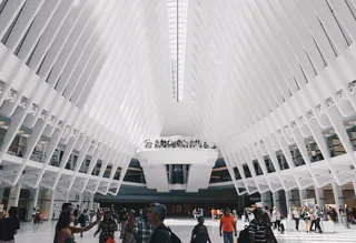 美国，纽约，oculus，贸易中心，商场，白色，美观，干净