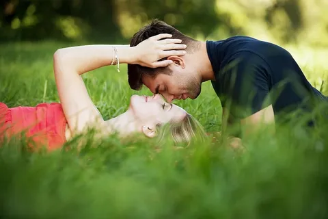 躺在草地上的夫妇 躺在草地上的夫妇