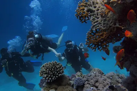 三个人在水体上潜水 三个人在水体上潜水