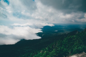 树，树，山，山，森林，野生，荒野，登山者