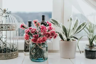 带日历的粉色花朵