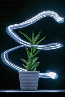 桌面，荧光灯，照明，灯，灯，发光，深色，灯泡