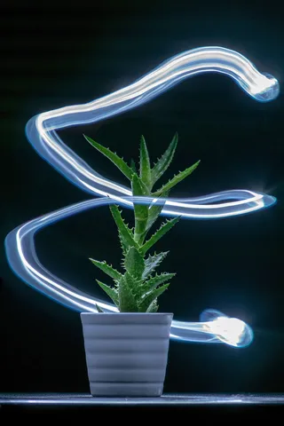 桌面，荧光灯，照明，灯，灯，发光，深色，灯泡