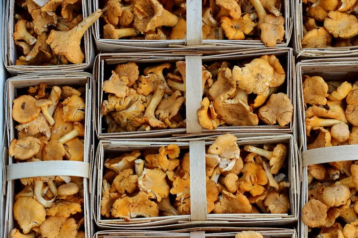 蘑菇，蘑菇，香菇，市场，食品，蘑菇，森林蘑菇，农民当地市场