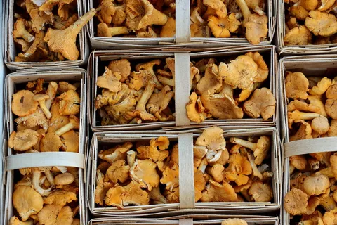 蘑菇，蘑菇，香菇，市场，食品，蘑菇，森林蘑菇，农民当地市场