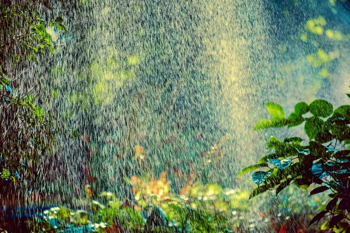 洒水器，灌溉，背光，水，喷淋，喷淋系统，喷射，喷淋