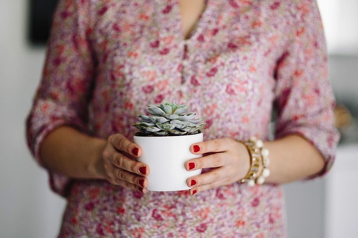 穿着粉红色衣服的女人拿着杂项物品