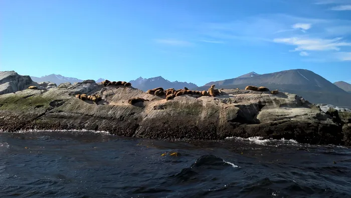 小猎犬海峡、乌斯怀亚、火地、高山、风景-自然、自然之美、天空、水