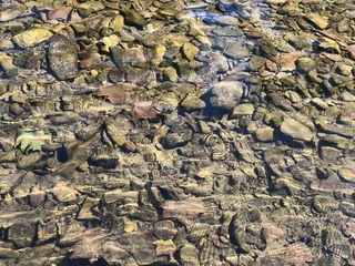 美国，新城堡，滑翔机dr，岩石，涟漪，河流，水，小溪