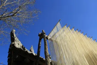 细的，干的，面条，民间的，美食家，细的干面条，低角度视图，蓝色