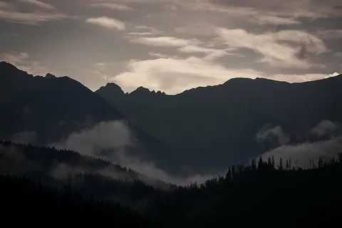 剪影,森林,黑暗,天空,风景,摄影,日落,身后 剪影,森林,黑暗,天空,风景,摄影,日落,身后